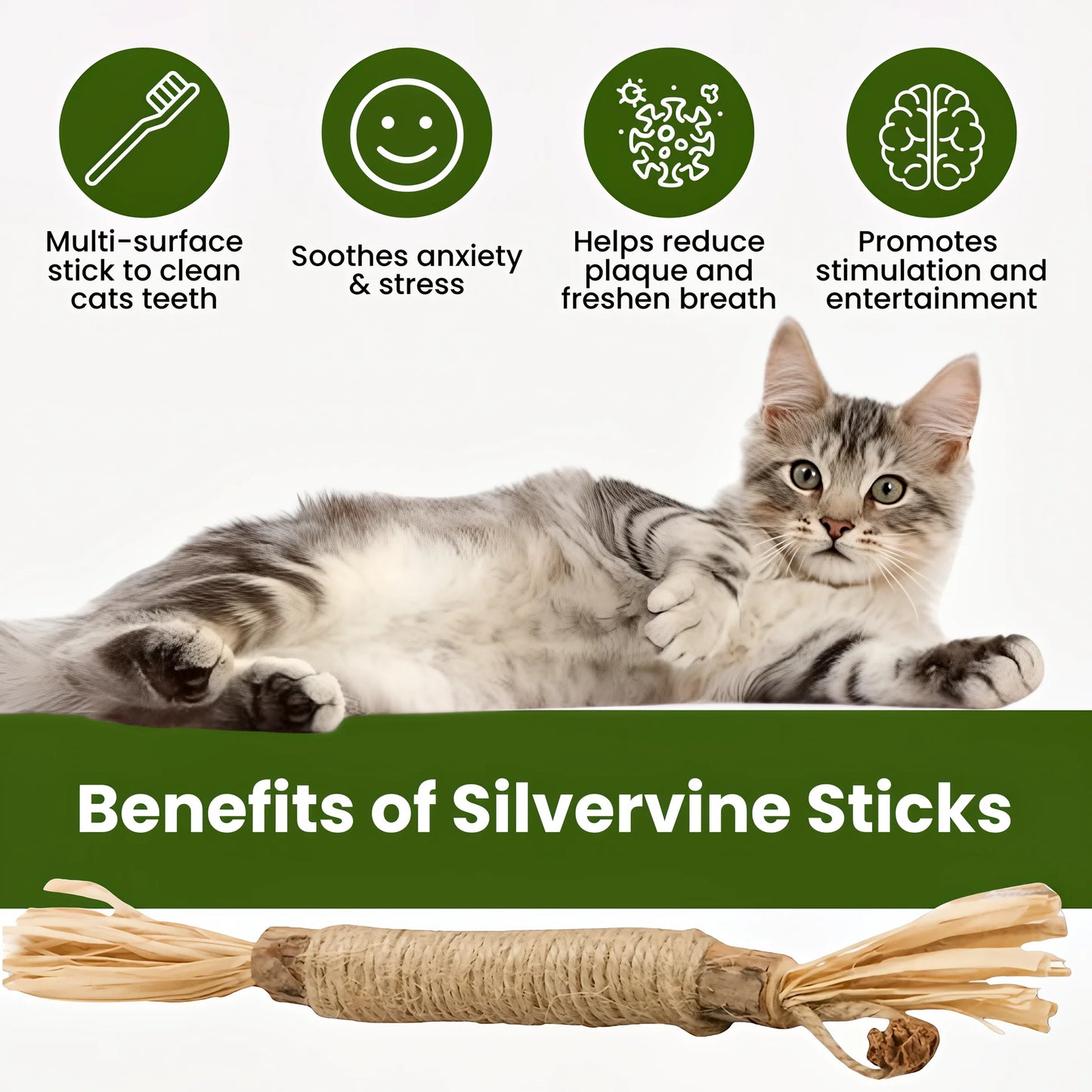 Numi Silvervine Dental Sticks