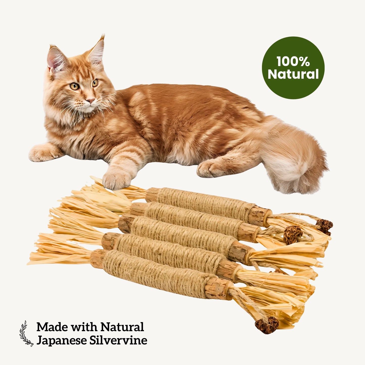 Numi Silvervine Dental Sticks