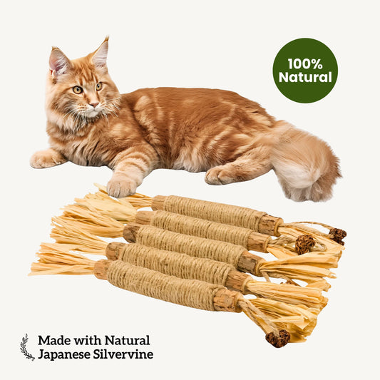 Numi Silvervine Dental Sticks